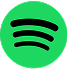 Icon 3